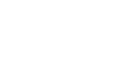 TelecServices Logo